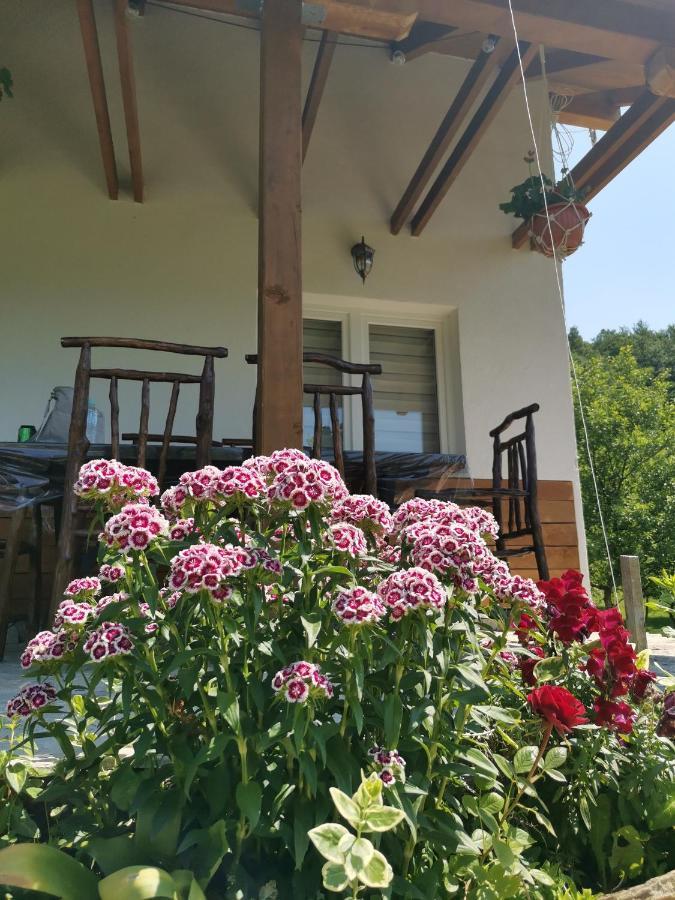 Nektar Park Villa Sara Bihac Exterior photo